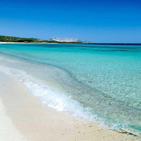 Villa Indipendente Al Mare Budoni Tanaunella Eksteriør billede